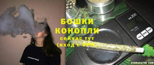 сатива Беломорск