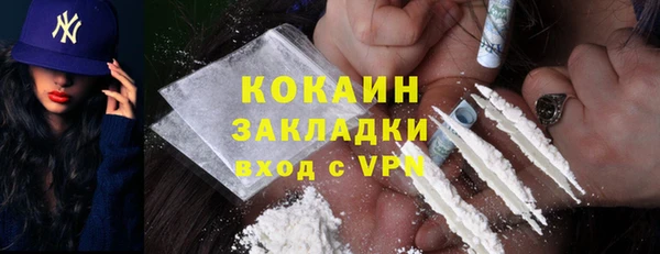 сатива Беломорск
