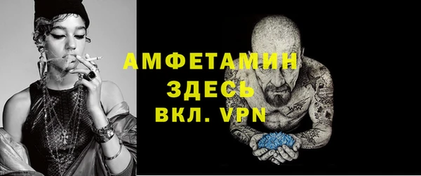 сатива Беломорск