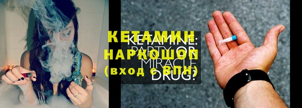 сатива Беломорск